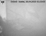 Capi_Dubne_20250428_011003.jpg