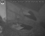 Capi_Dubne_20250428_014502.jpg
