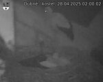 Capi_Dubne_20250428_020002.jpg