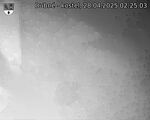 Capi_Dubne_20250428_022503.jpg