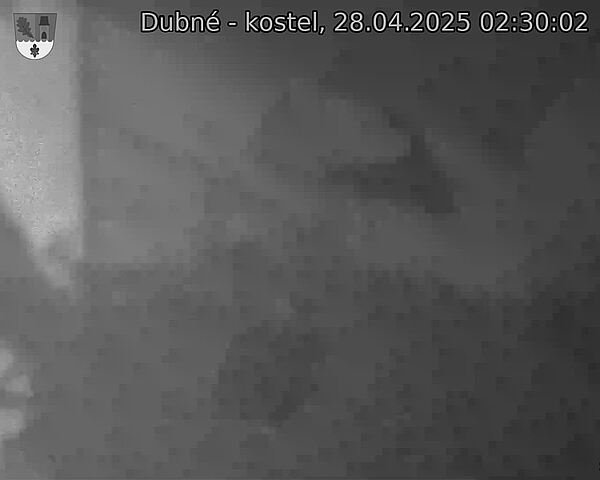 Capi_Dubne_20250428_023002.jpg (1350 x 1080)