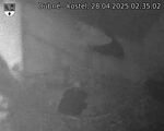 Capi_Dubne_20250428_023502.jpg