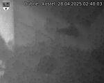 Capi_Dubne_20250428_024003.jpg
