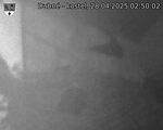Capi_Dubne_20250428_025002.jpg