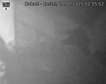 Capi_Dubne_20250428_025502.jpg
