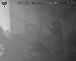 Capi_Dubne_20250428_030502.jpg