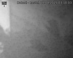 Capi_Dubne_20250428_031003.jpg