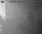 Capi_Dubne_20250428_031502.jpg