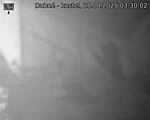 Capi_Dubne_20250428_033002.jpg