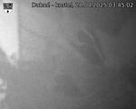 Capi_Dubne_20250428_034502.jpg