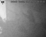 Capi_Dubne_20250428_040502.jpg