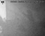 Capi_Dubne_20250428_041003.jpg