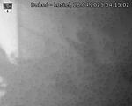 Capi_Dubne_20250428_041502.jpg