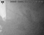 Capi_Dubne_20250428_042002.jpg