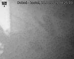 Capi_Dubne_20250428_042503.jpg