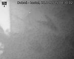 Capi_Dubne_20250428_043002.jpg