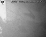 Capi_Dubne_20250428_044003.jpg