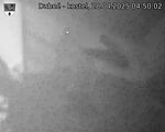 Capi_Dubne_20250428_045002.jpg