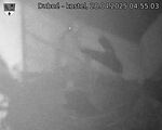 Capi_Dubne_20250428_045503.jpg