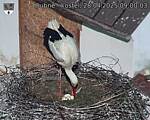 Capi_Dubne_20250428_090003.jpg