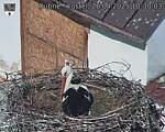 Capi_Dubne_20250428_103003.jpg