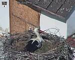 Capi_Dubne_20250428_105003.jpg