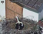 Capi_Dubne_20250428_112003.jpg