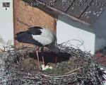 Capi_Dubne_20250428_114002.jpg
