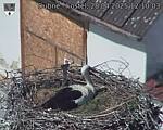 Capi_Dubne_20250428_121003.jpg
