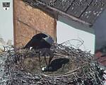 Capi_Dubne_20250428_121502.jpg