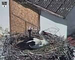 Capi_Dubne_20250428_131003.jpg