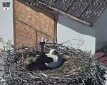 Capi_Dubne_20250428_133003.jpg