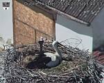 Capi_Dubne_20250428_134003.jpg