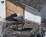 Capi_Dubne_20250428_135002.jpg