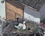 Capi_Dubne_20250428_143503.jpg