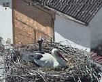 Capi_Dubne_20250428_150502.jpg