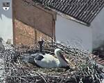 Capi_Dubne_20250428_153002.jpg