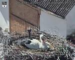 Capi_Dubne_20250428_154503.jpg