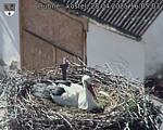 Capi_Dubne_20250428_160503.jpg