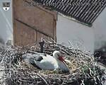 Capi_Dubne_20250428_161003.jpg