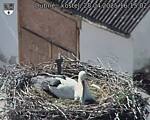 Capi_Dubne_20250428_161502.jpg