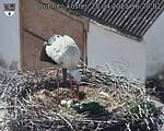 Capi_Dubne_20250428_162002.jpg