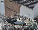 Capi_Dubne_20250428_162503.jpg