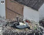 Capi_Dubne_20250428_163003.jpg