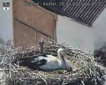 Capi_Dubne_20250428_164502.jpg
