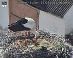Capi_Dubne_20250428_165003.jpg
