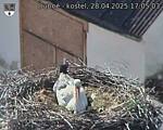 Capi_Dubne_20250428_170503.jpg