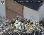 Capi_Dubne_20250428_171002.jpg