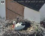 Capi_Dubne_20250428_172002.jpg