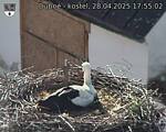 Capi_Dubne_20250428_175503.jpg
